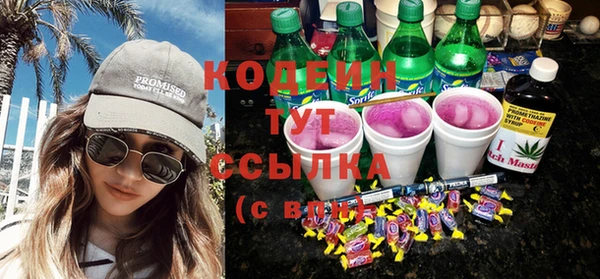 индика Бородино