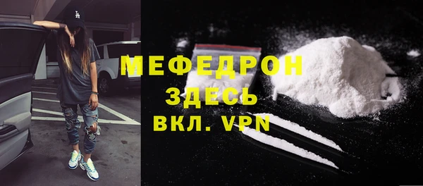 индика Бородино