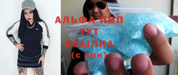 индика Бородино