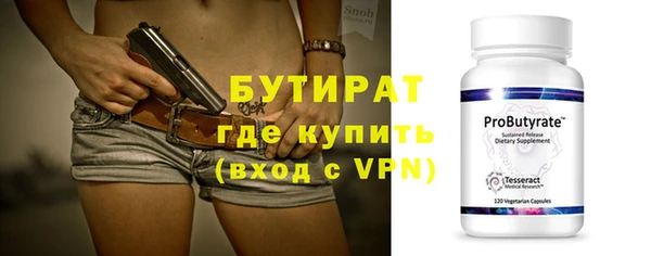 индика Бородино