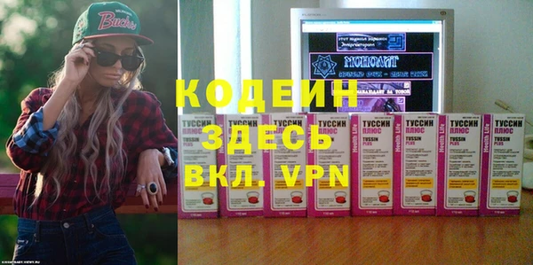 индика Бородино