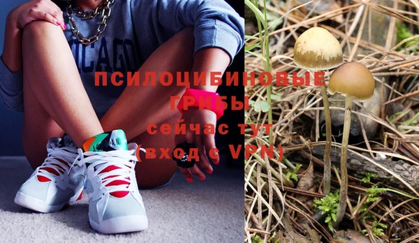 стафф Бронницы