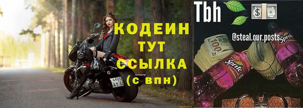 индика Бородино
